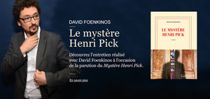 David-Foenkinos.-Le-mystere-Henri-Pick_large